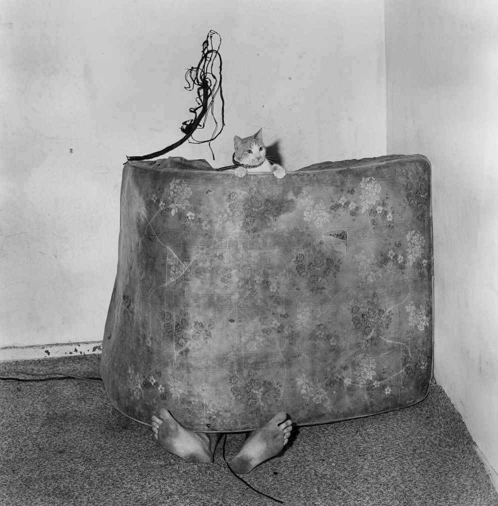 Animal Abstraction © Roger Ballen