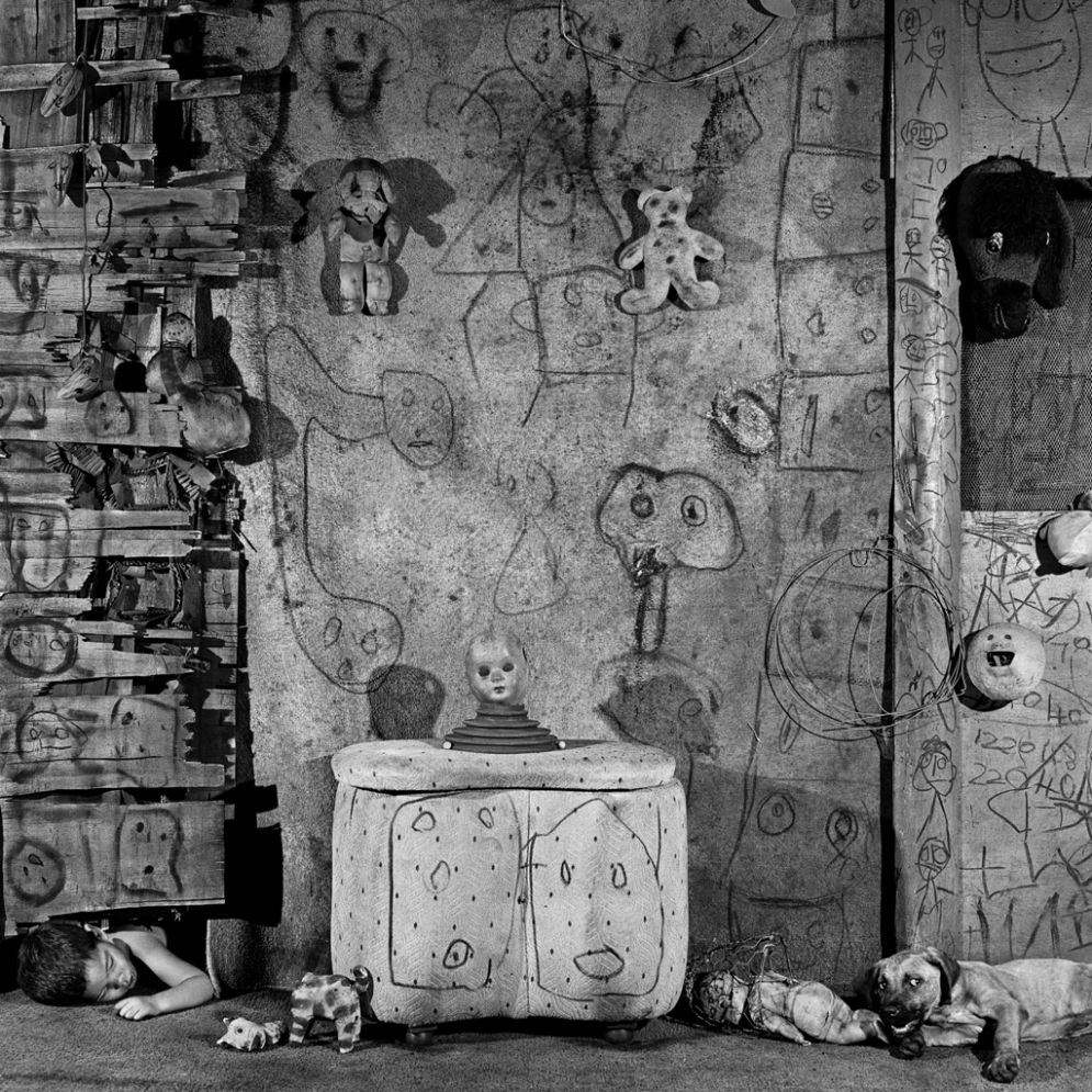 Animal Abstraction © Roger Ballen