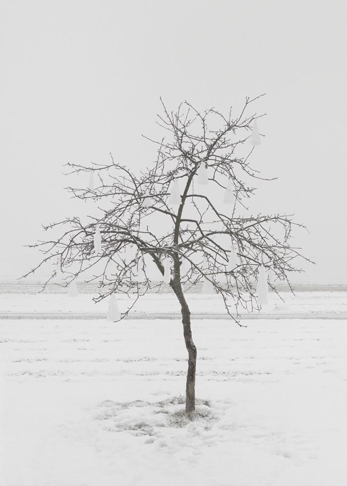 Post © Marta Zgierska