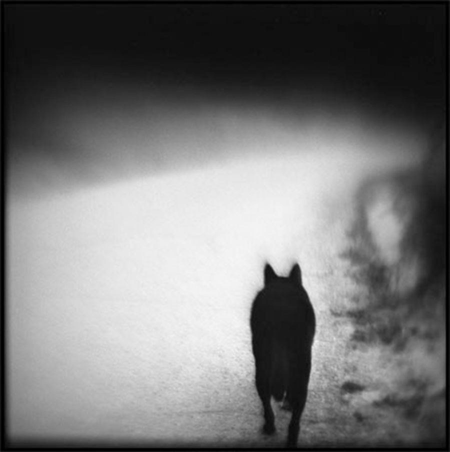 © Susan Burnstine: Within Shadows