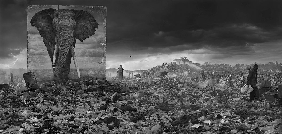 © Nick Brandt: Inherit the Dust