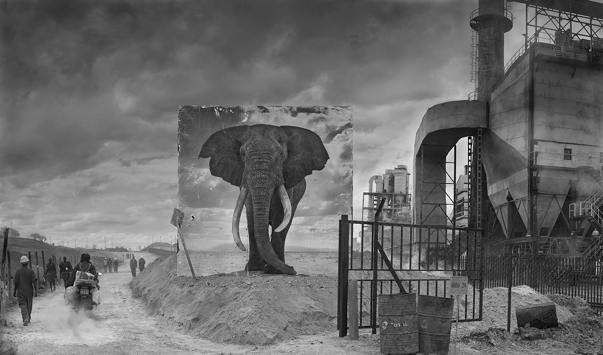 © Nick Brandt: Inherit the Dust