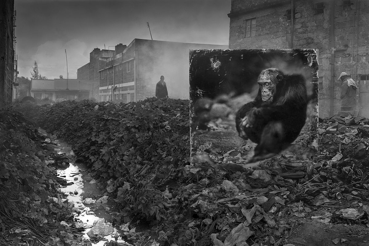 © Nick Brandt: Inherit the Dust