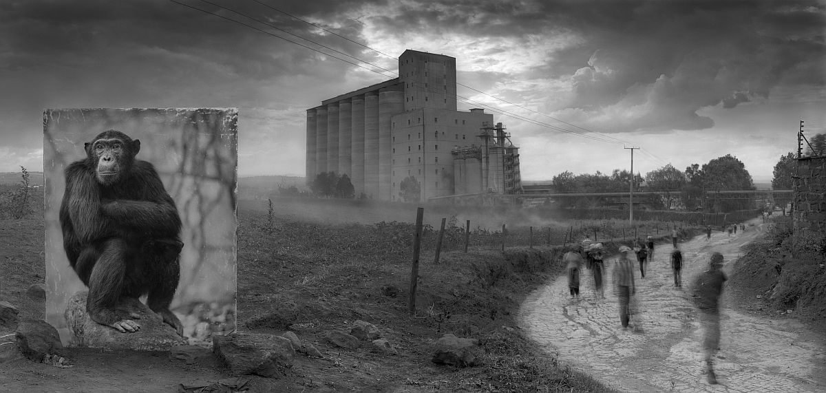 © Nick Brandt: Inherit the Dust