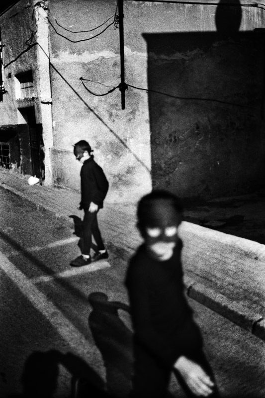 © Yusuf Sevincli: Good Dog