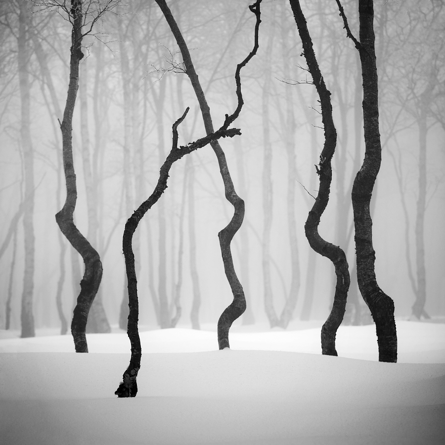 Daniel Řeřicha - ND Nature Discovery of the Year 2016